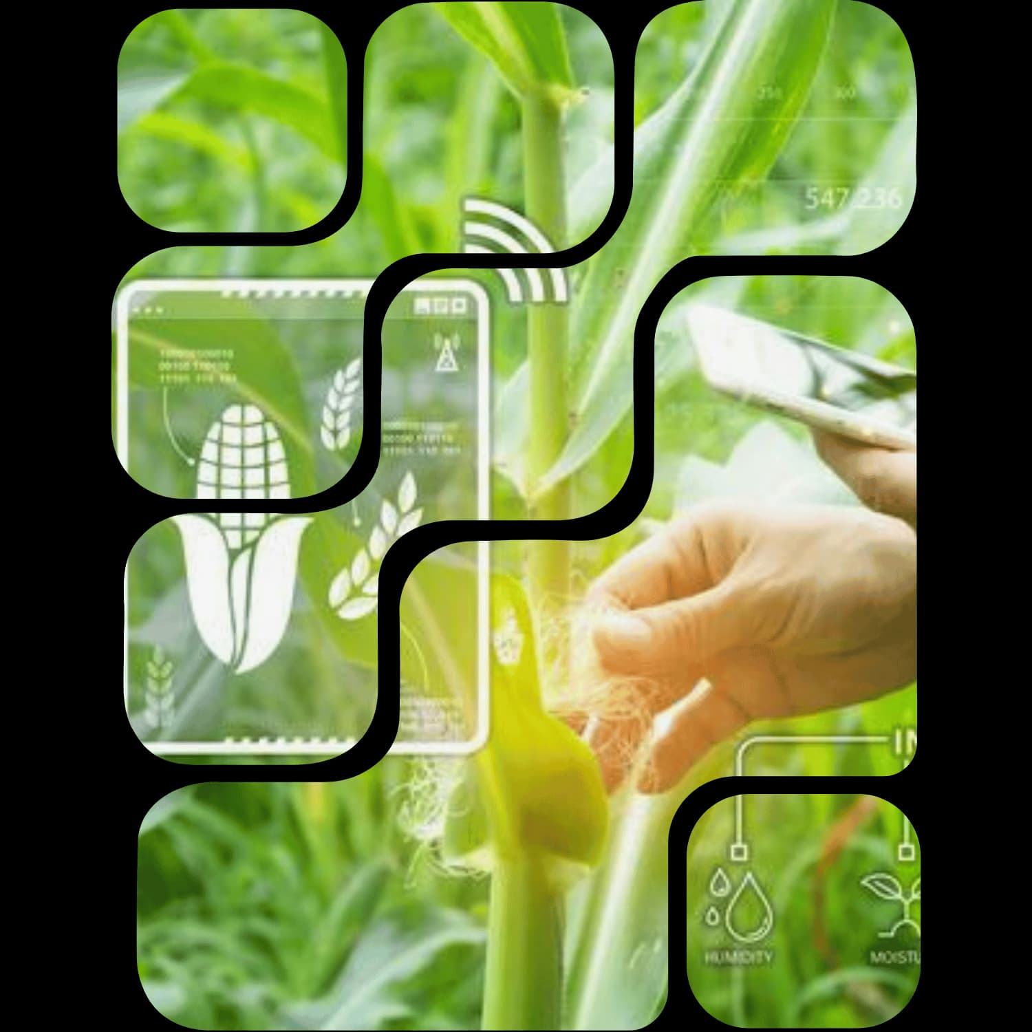 Agriculture