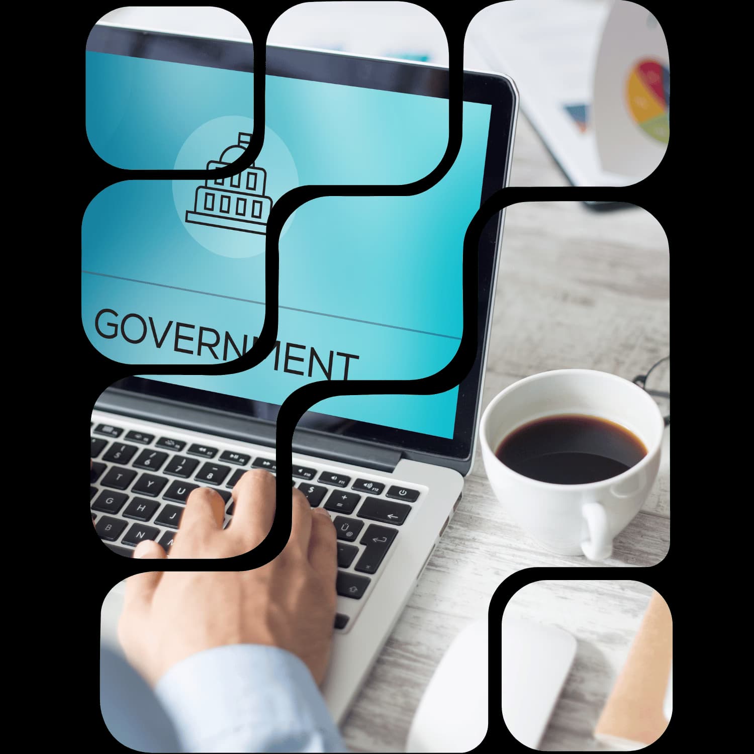 Government